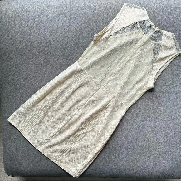 ASTR Fitted Lace Ivory Snakeskin Dress Large - Picture 5 of 5